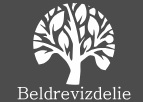 ЧУП «Белдревизделие»