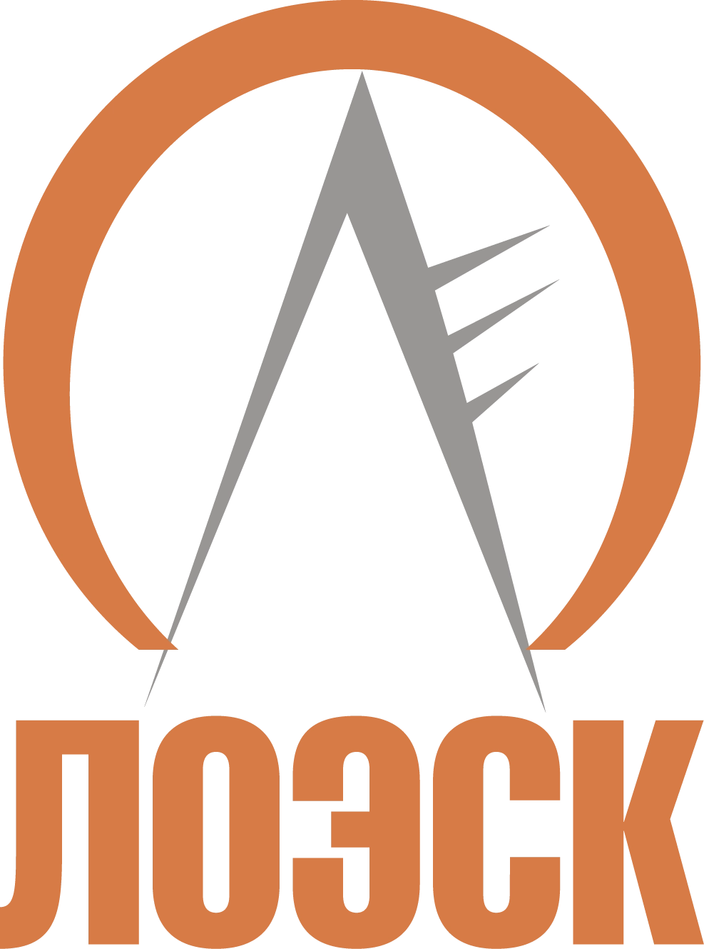 Акционерное общество «ЛОЭСК» (Электрические сети Санкт-Петербурга и Ленинградской области)