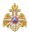 Министерство чрезвычайных ситуаций РФ