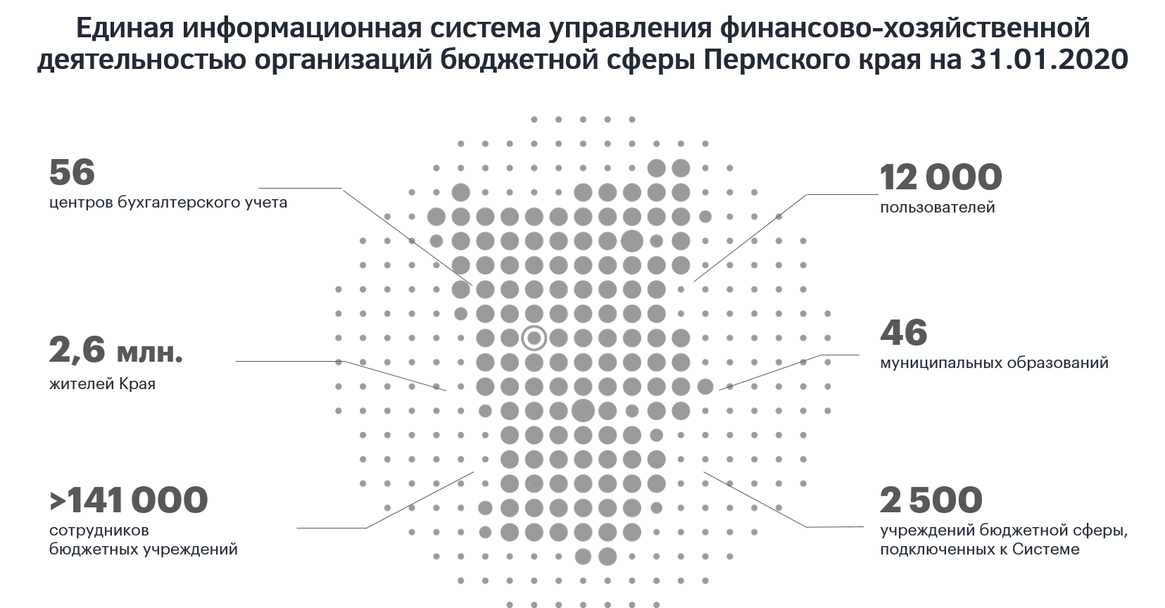 Единая информационная система управления финансово-хозяйственной деятельностью организаций бюджетной сферы Пермского края на 31.01.2020